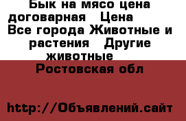 Бык на мясо цена договарная › Цена ­ 300 - Все города Животные и растения » Другие животные   . Ростовская обл.